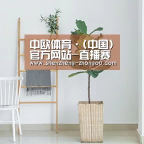 产品名称六(图1)